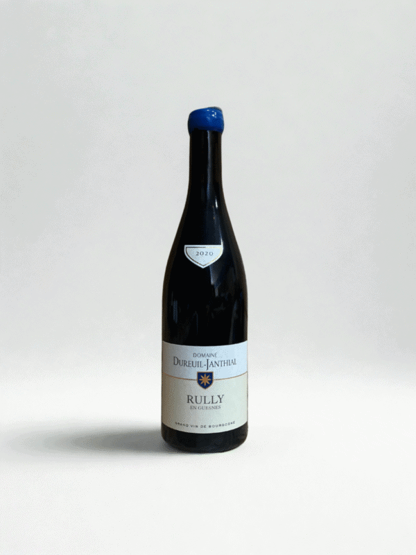 domaine-dureuil-janthial-rully-en-guesnes-2020-face