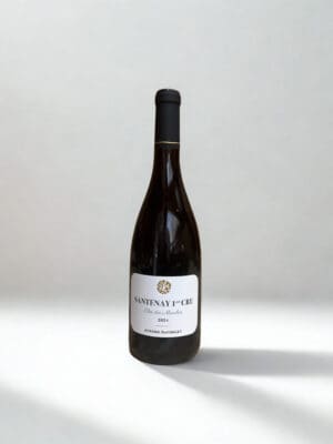 Santenay 1er cru clos des mouches 2024 Aurore Bachelet
